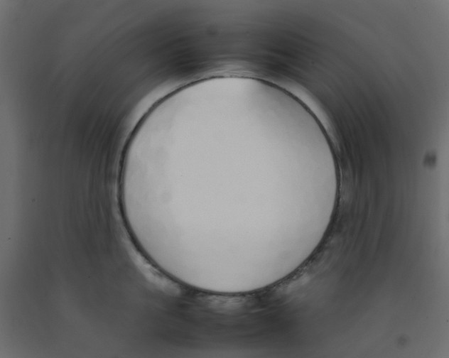 X0000092100861200710101120