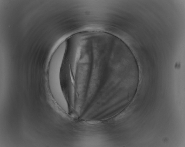 X0000092100864200710101120