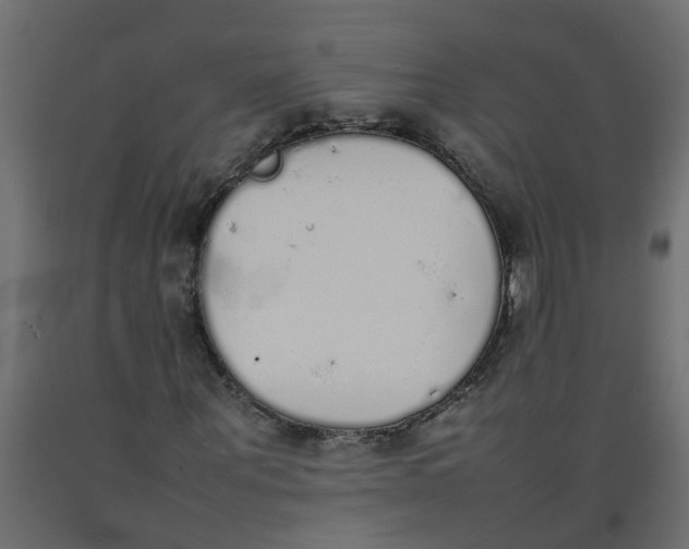 X0000092100867200710101120