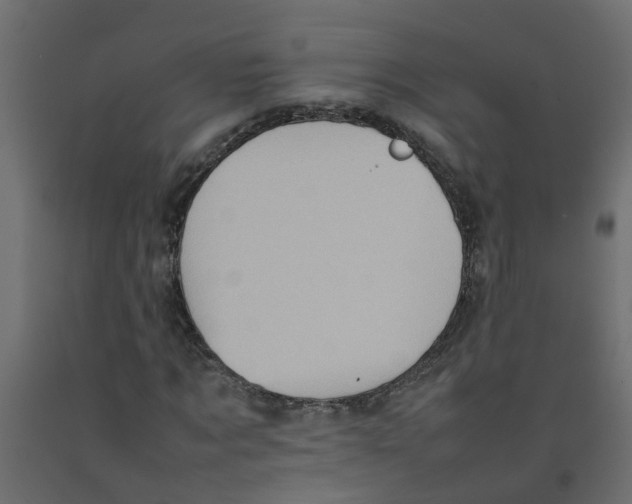 X0000092100869200710101120