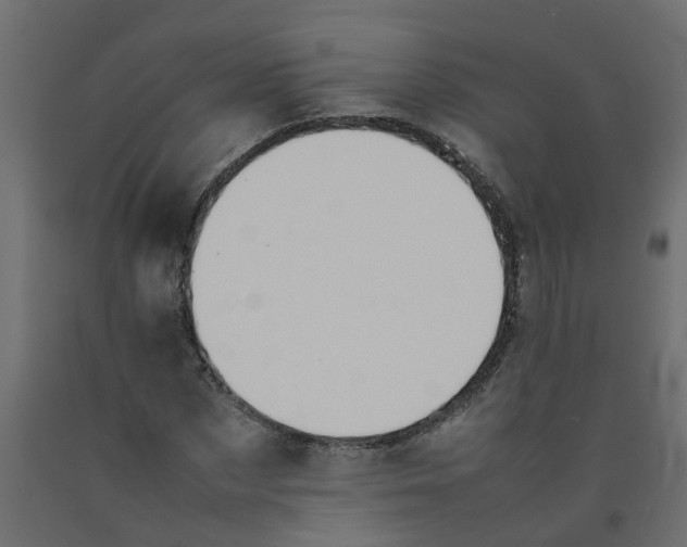 X0000092100873200710101120