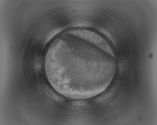 X0000092100874200710101120