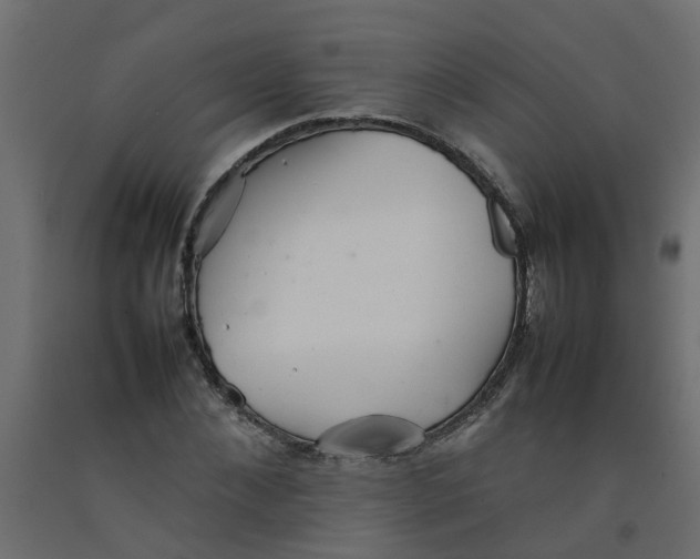 X0000092100876200710101120