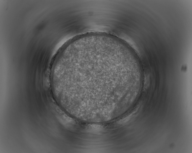 X0000092100878200710101119