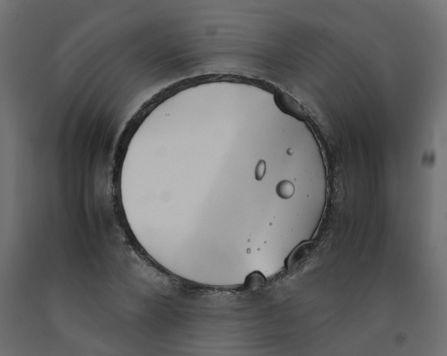 X0000092100880200710101119