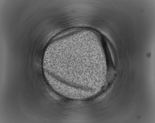 X0000092100881200710101119