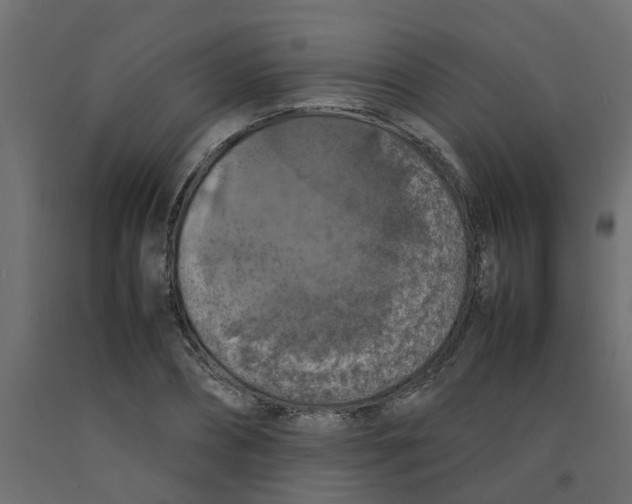 X0000092100882200710101119