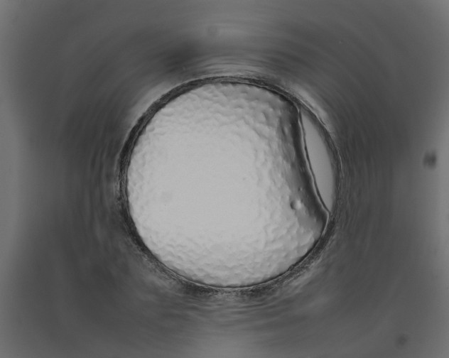 X0000092100883200710101119