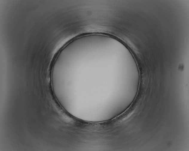 X0000092100885200710101119