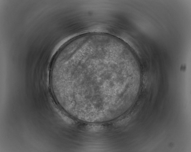 X0000092100886200710101119