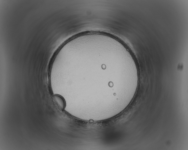 X0000092100887200710101119