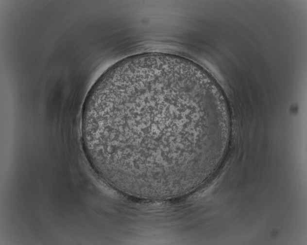 X0000092100891200710101119