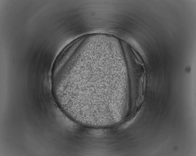 X0000092100892200710101119