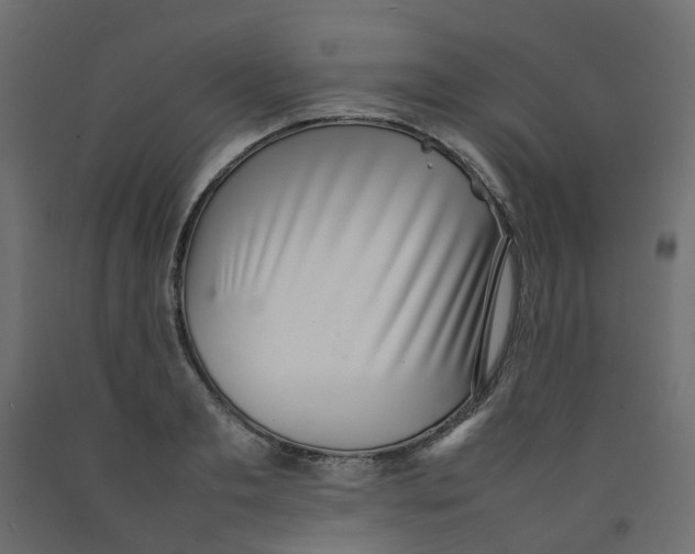 X0000092100893200710101119