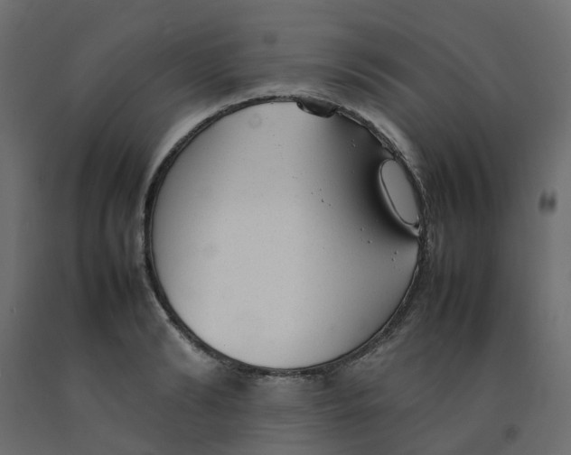 X0000092100894200710101119