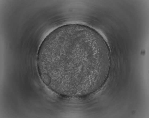 X0000092100895200710101119