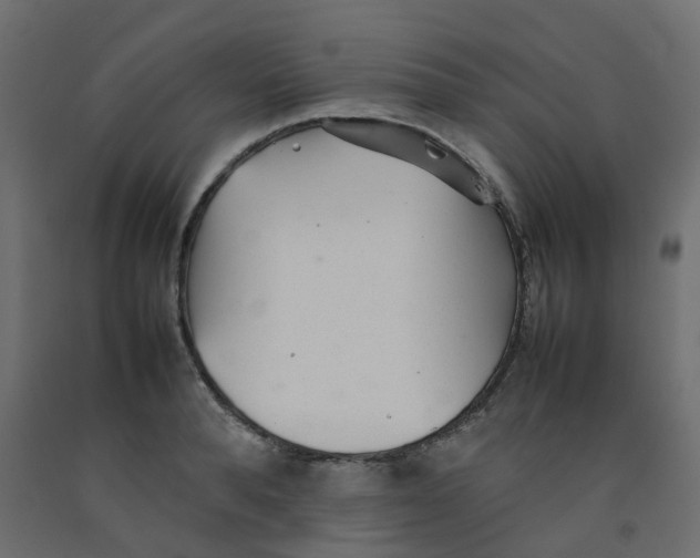 X0000092100896200710101119