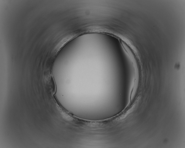 X0000092100897200710101119