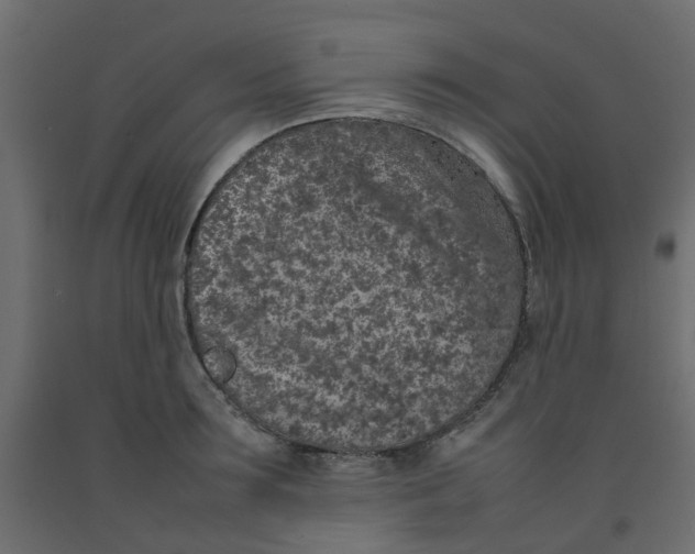 X0000092100899200710101119