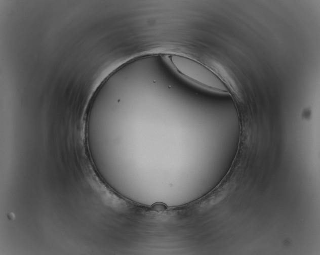 X0000092100900200710101119