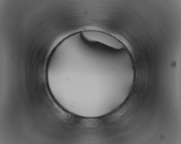 X0000092100902200710101119