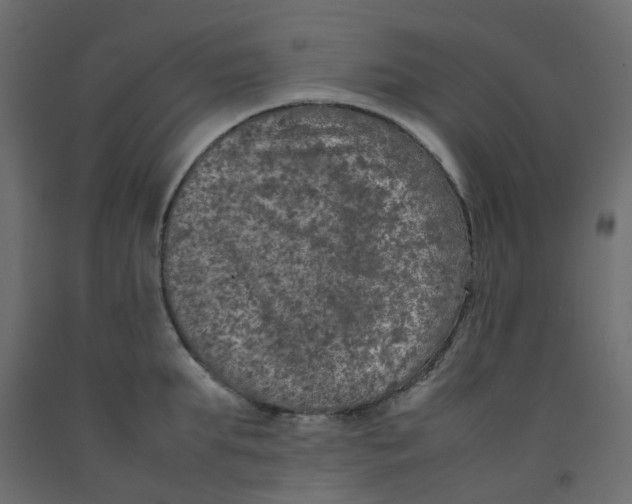 X0000092100903200710101119