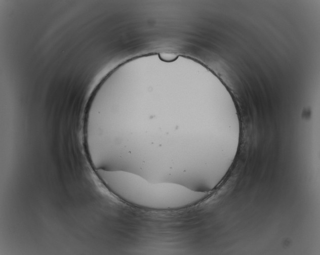 X0000092100904200710101119