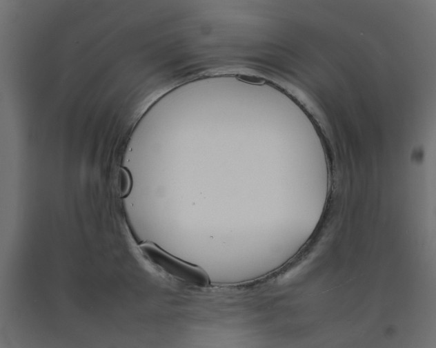 X0000092100905200710101119