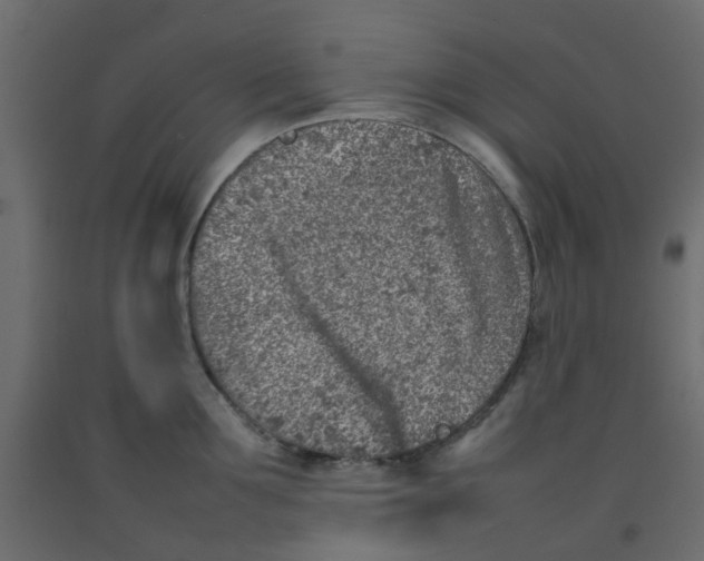 X0000092100907200710101119