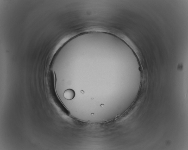 X0000092100909200710101119