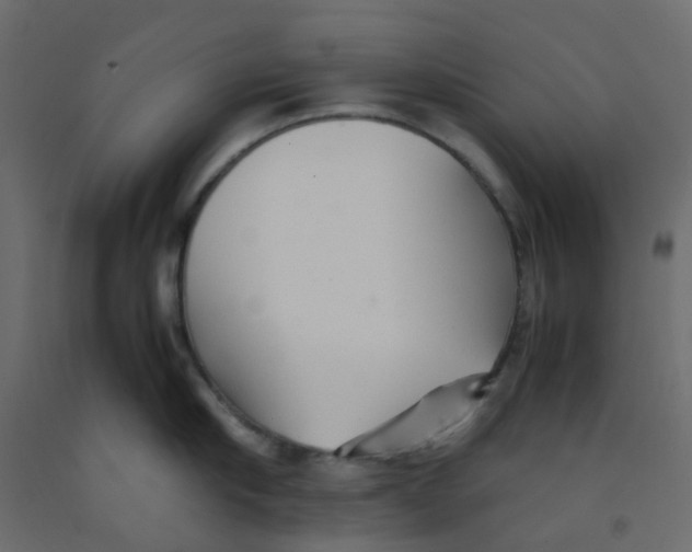 X0000092100910200710101119