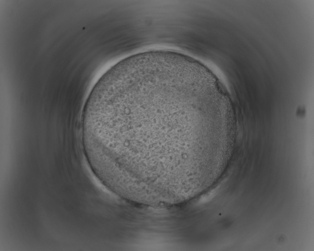 X0000092100911200710101119