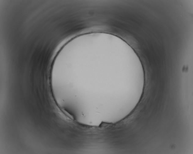 X0000092100912200710101119