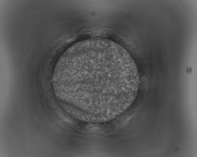 X0000092100913200710101118