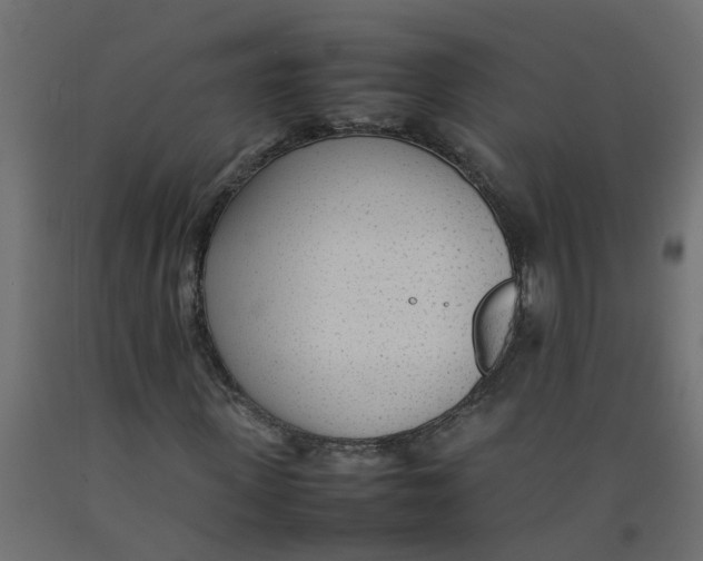 X0000092100915200710101118