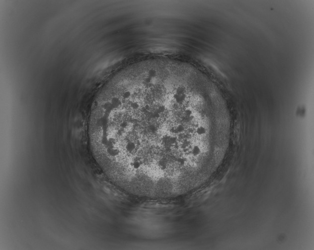 X0000092100917200710101118