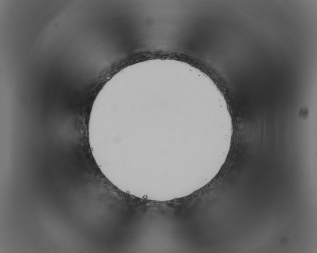 X0000092100918200710101118