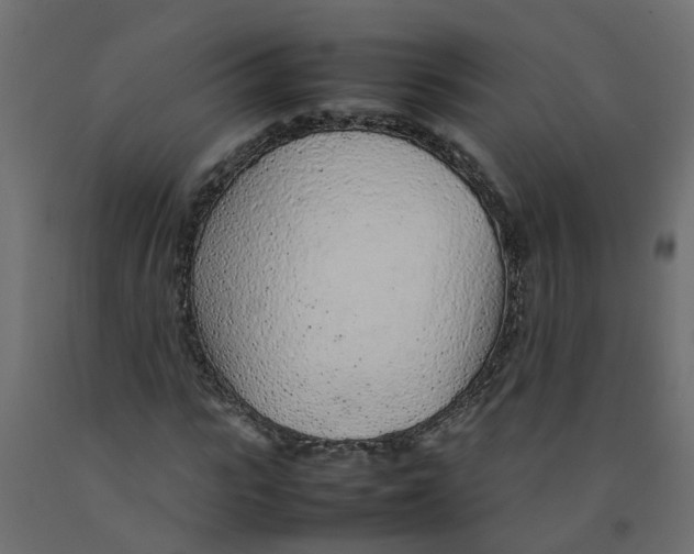 X0000092100919200710101118