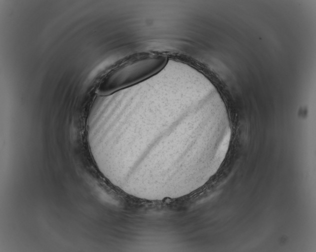 X0000092100920200710101118