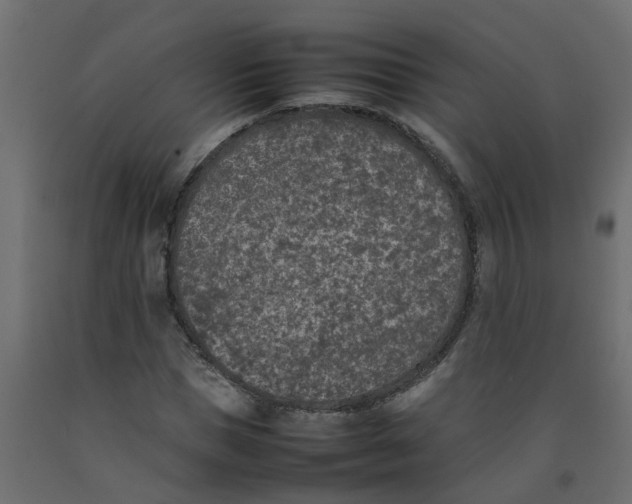 X0000092100921200710101118