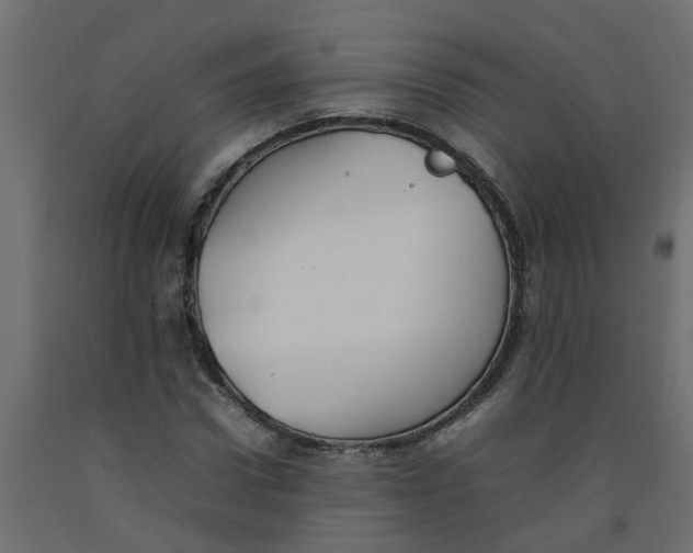 X0000092100922200710101118