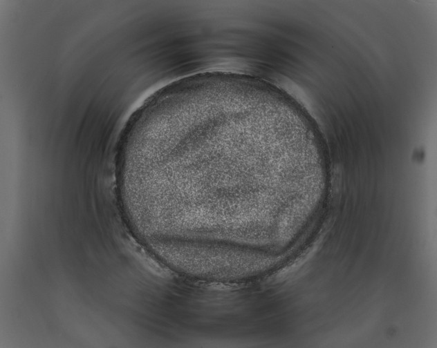 X0000092100923200710101118