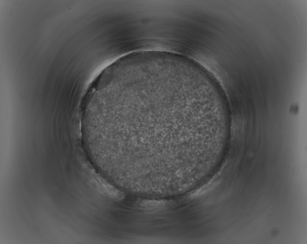 X0000092100925200710101118