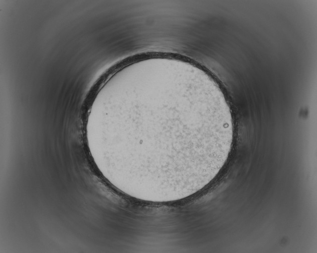 X0000092100926200710101118