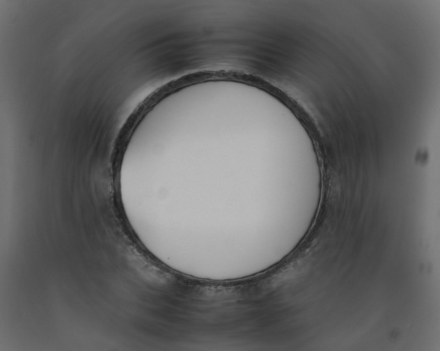 X0000092100927200710101118