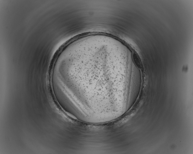 X0000092100928200710101118