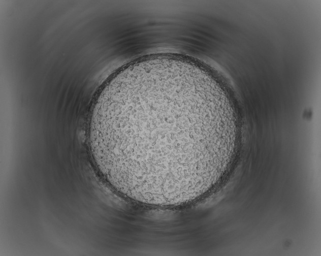 X0000092100929200710101118