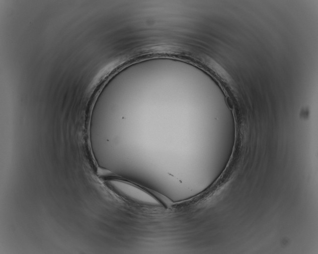 X0000092100930200710101118