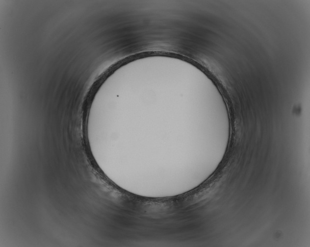 X0000092100931200710101119