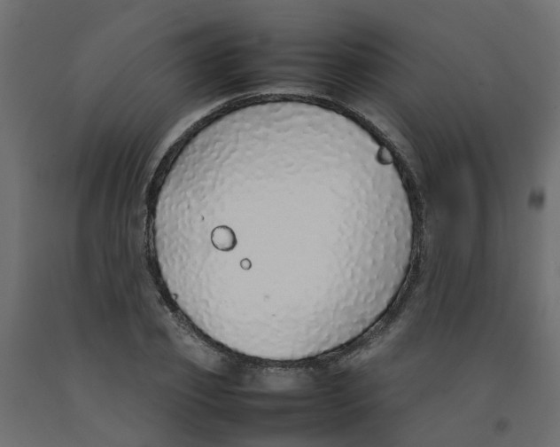 X0000092100933200710101119